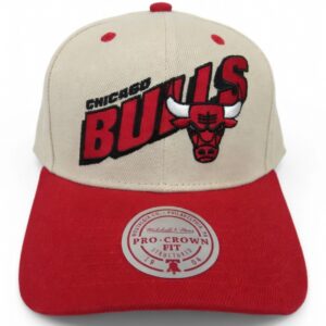 Snapback Bulls