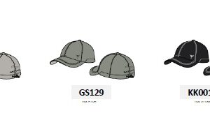 Gorra CH 6124