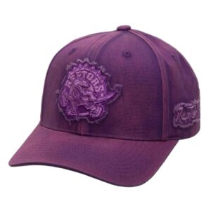 Toronto Raptors