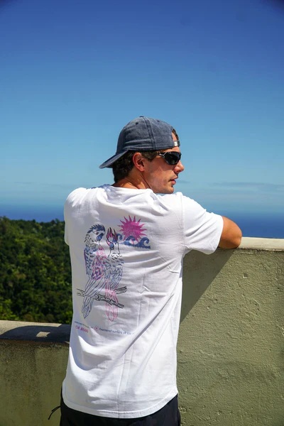 Parrot White - Imagen 4